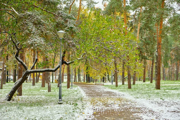 Jesienny Widok Park Zimowy Pierwszy Śnieg Jesiennym Mieście Jesienna Pierwsza — Zdjęcie stockowe
