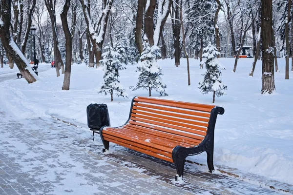 Kışın Karlı Havada Parkta Turuncu Bir Bank Kyiv Mariinskyi Parkı — Stok fotoğraf