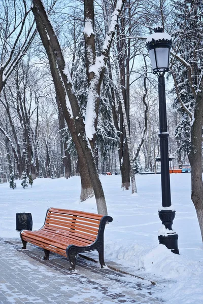 冬の雪の公園のオレンジのベンチ キエフ マリニンスキー公園 — ストック写真