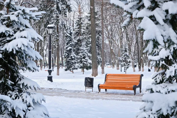 Kışın Karlı Havada Parkta Turuncu Bir Bank Kyiv Mariinskyi Parkı — Stok fotoğraf