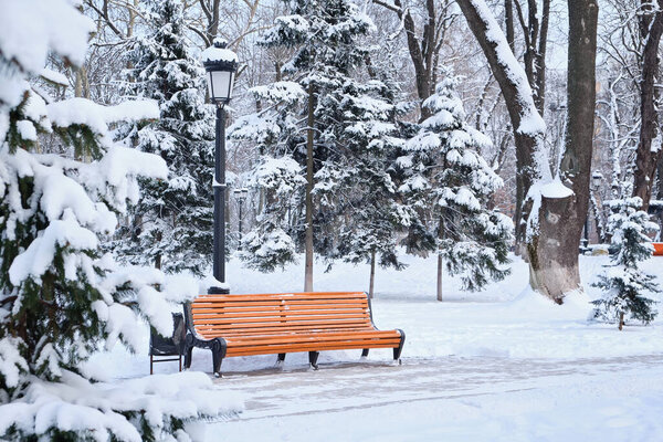 Orange bench in the park in the snow in winter. Kyiv, Mariinskyi Park