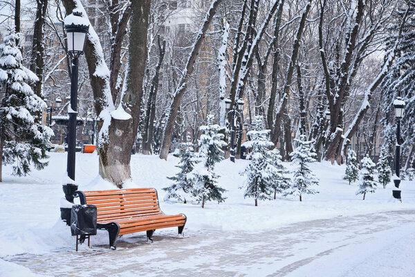 Orange bench in the park in the snow in winter. Kyiv, Mariinskyi Park