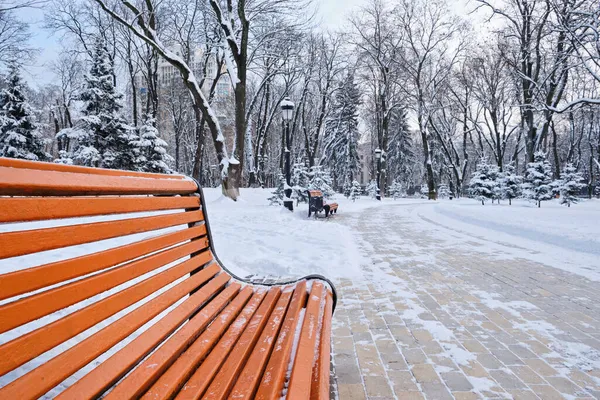 겨울에는 의자들이 줄지어 마린스키 — 스톡 사진