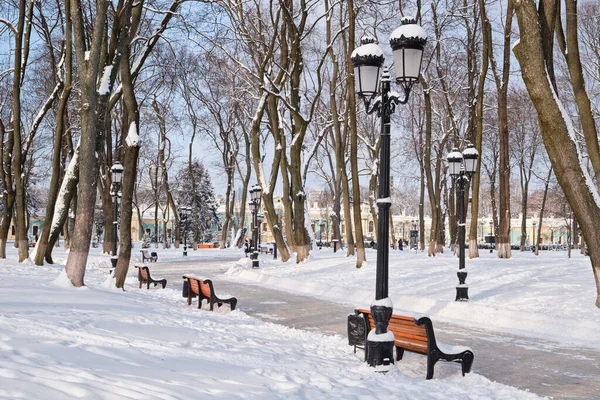 Rangée Bancs Rouges Dans Parc Dans Neige Hiver Kiev Mariinskyi — Photo