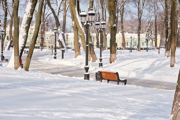 겨울에는 공원에 오렌지 벤치입니다 마린스키 — 스톡 사진