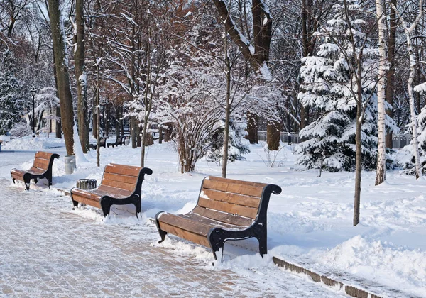 Row Red Benches Park Snow Winter Kyiv Mariinskyi Park — Stock Photo, Image