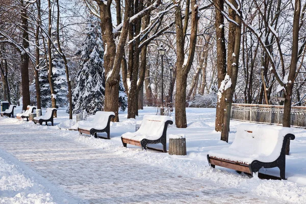 Kışın Karlı Havada Parkta Kırmızı Banklar Kyiv Mariinskyi Parkı — Stok fotoğraf
