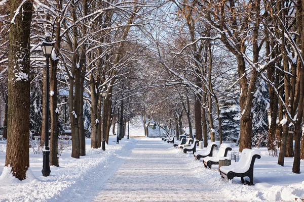Kışın Karlı Havada Parkta Kırmızı Banklar Kyiv Mariinskyi Parkı — Stok fotoğraf