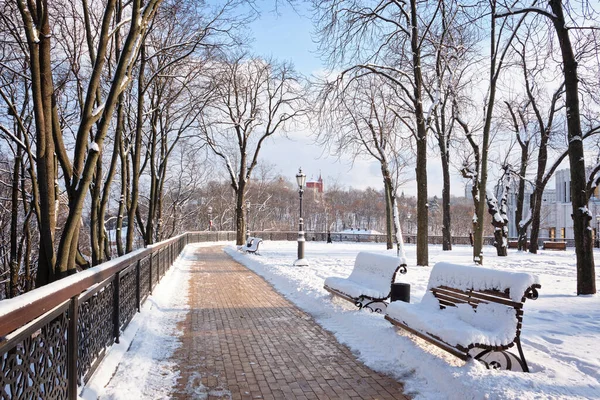 공원의 얼어붙은 골목에 벤치와 나무는 눈으로 공기를 마시며 Kyiv Vladimirskaya — 스톡 사진