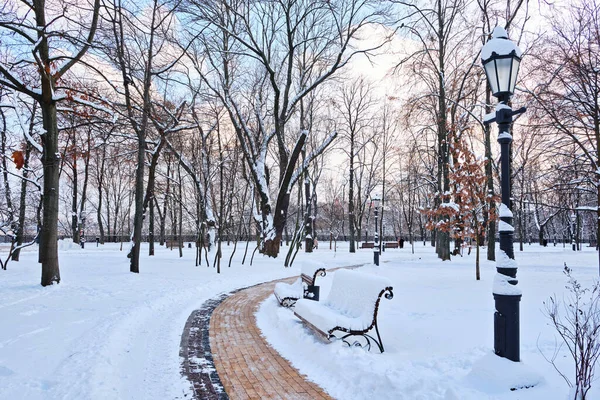 Kış Parkındaki Banklı Buz Gibi Kar Yolu Karla Kaplı Ağaçlar — Stok fotoğraf