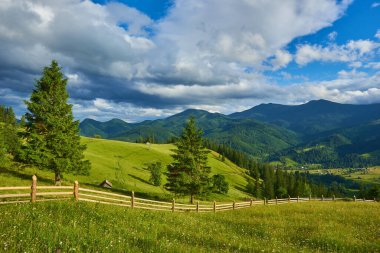 Dağlar ve çiçeklerle İlkbaharda Alplerde