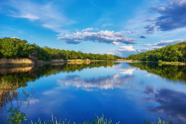 Krásné Pobřeží Při Západu Slunce Létě Barevná Krajina Jezerem Zelenými — Stock fotografie