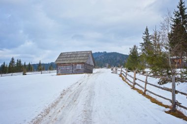 Karpatya dağ kayak merkezinin güzel manzarası, kış karlı manzarası                               