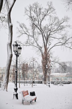 Kışın karlı havada parkta turuncu bir bank. Kyiv, Mariinskyi Parkı