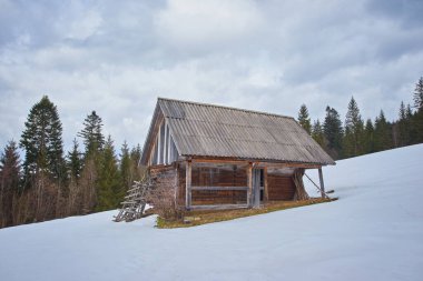 Karpatya dağ kayak merkezinin güzel manzarası, kış karlı manzarası                               
