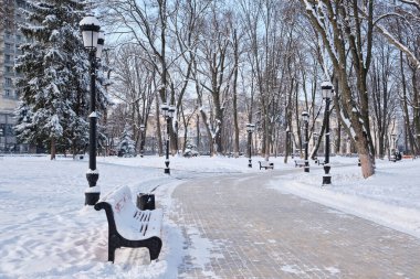 Kışın karlı havada parkta kırmızı banklar. Kyiv, Mariinskyi Parkı
