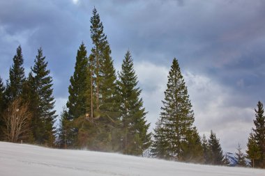 Karpatya dağ kayak merkezinin güzel manzarası, kış karlı manzarası                               