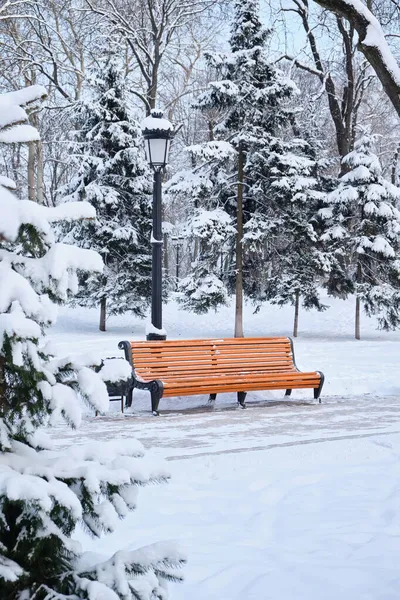 Orange Bench Park Snow Winter Kyiv Mariinskyi Park — Stock Photo, Image