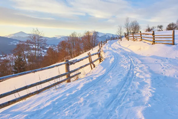 Karpatya dağ kayak merkezinin güzel manzarası, kış karlı manzarası                               