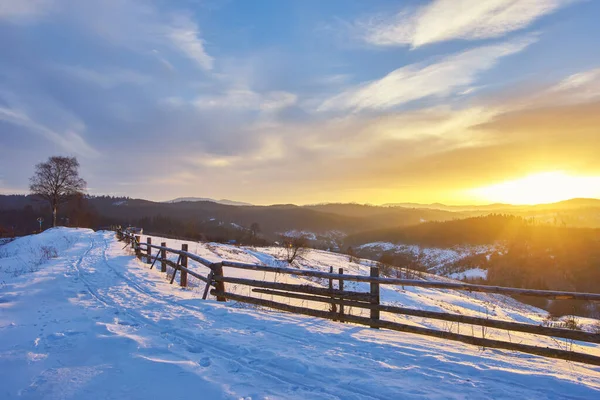 Karpatya dağ kayak merkezinin güzel manzarası, kış karlı manzarası                               
