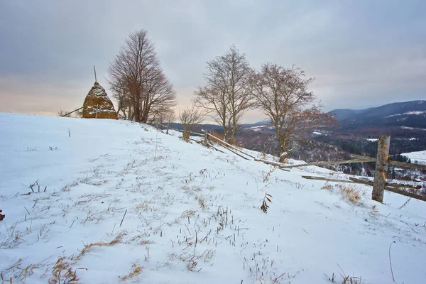 Krásný Výhled Karpatské Horské Středisko Zimní Zasněžená Krajina — Stock fotografie