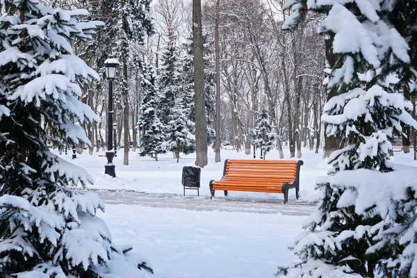 Orange Bench Park Snow Winter Kyiv Mariinskyi Park — Stock Photo, Image
