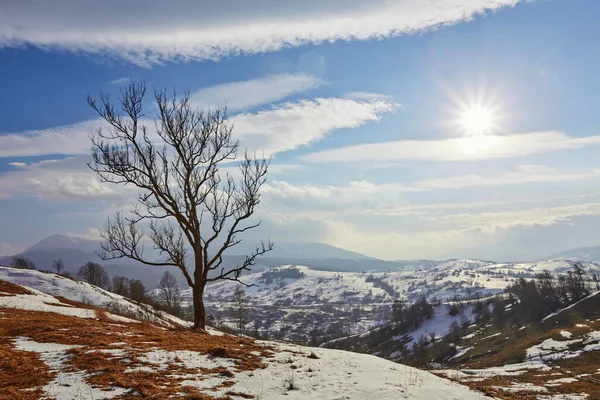 Krásný Výhled Karpatské Horské Středisko Zimní Zasněžená Krajina — Stock fotografie