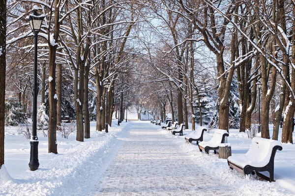 Frosty snow alley in the winter Park with benches. Trees covered with snow. Walking in the fresh air. Kyiv, Mariinskyi Park