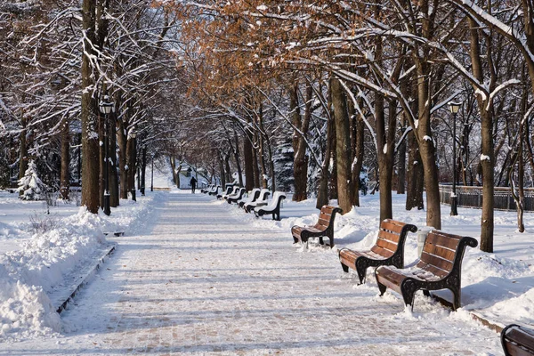 冬の雪の中で公園内の赤いベンチの行 キエフ マリニンスキー公園 — ストック写真