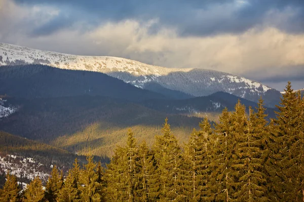Krásná Krajina Zasněženými Stromy Horách — Stock fotografie