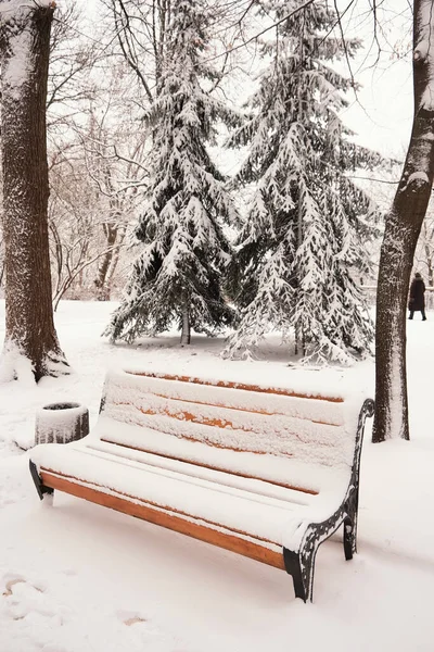 Orange Bench Park Snow Winter Kyiv Mariinskyi Park — Stock Photo, Image