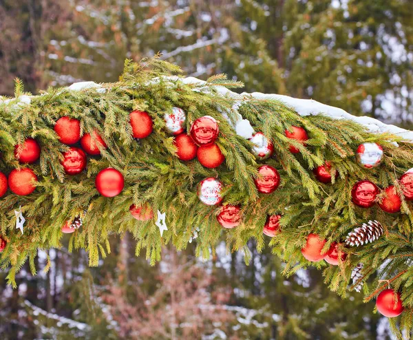 Weihnachtsbaum Mit Roten Beeren — Stockfoto