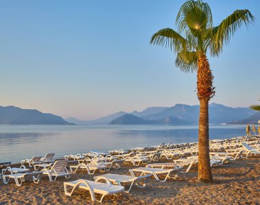 İnsansız kumsal ve güneş pansiyonları, şemsiyeler, palmiye ağaçları, Marmaris, Türkiye,