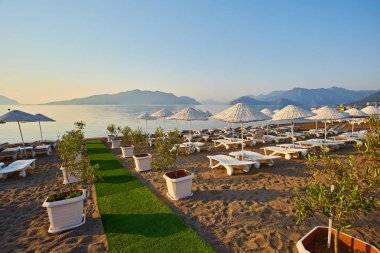 İnsansız ve güneşli kumsallar, katlanır şemsiyeler, palmiye ağaçları, Türkiye, tatil köyü