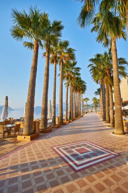 Marmaris 'te palmiye ağaçları olan güzel bir gezinti yeri. Türkiye.