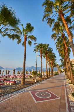 Marmaris 'te palmiye ağaçları olan güzel bir gezinti yeri. Türkiye.