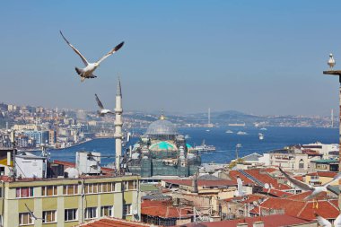 Çatıdan Boğaz Körfezi 'nin manzarası. İstanbul 'un kırmızı çatıları. Martılar İstanbul, Türkiye 'ye uçar. Yazın İstanbul seddi manzarası.