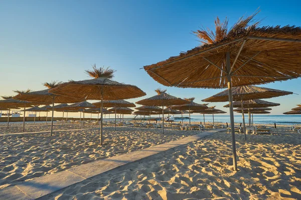 在一个田园诗般的热带度假胜地的海滩上 用干枯的海滩遮阳伞和躺椅放暑假 — 图库照片
