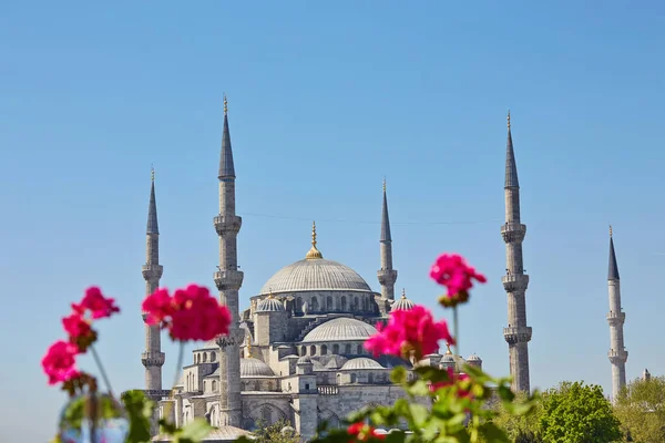 View Sultanahmet Blue Mosque Roof Building Istanbul Red Flowers — Stock Photo, Image