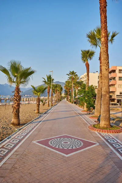 Belo Passeio Com Palmeiras Marmaris Turquia — Fotografia de Stock