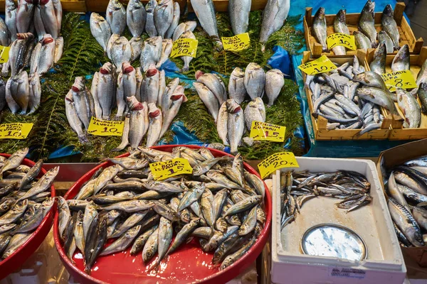 Διάφορα Ψάρια Στον Πάγκο Ψαράδικο Στην Κωνσταντινούπολη — Φωτογραφία Αρχείου