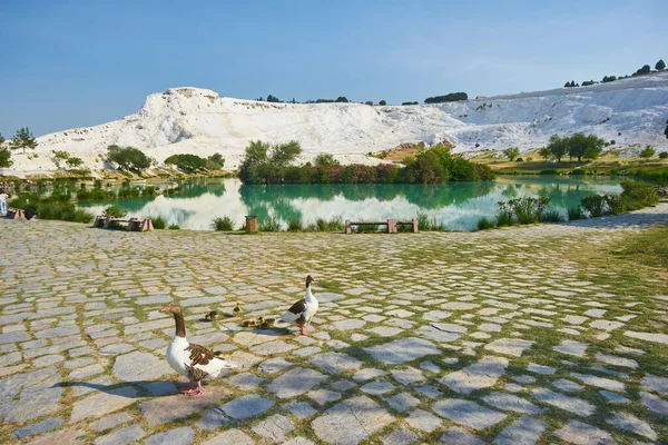 Malé Jezero Pamukkale Turecku — Stock fotografie