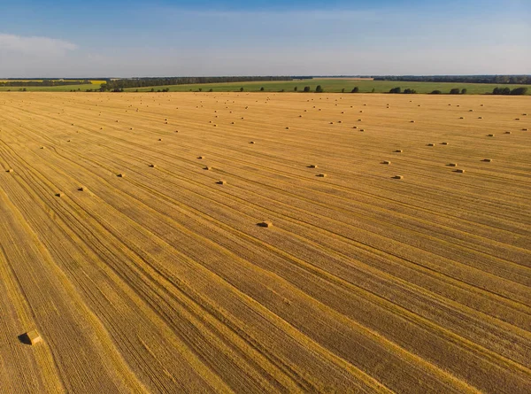 Strohgarben Einem Weizenfeld Von Oben — Stockfoto