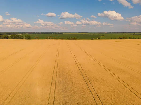 夏田小麦收获作物的空中景观 — 图库照片