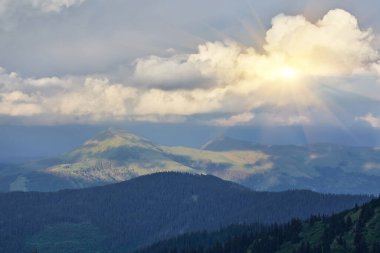 Alplerde yeşil çayırlar, çiçek açan çiçekler ve arka planda karla kaplı dağ tepeleri olan Idyllic manzarası.