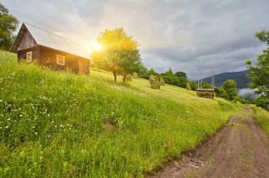 Alplerde yeşil çayırlar, çiçek açan çiçekler ve arka planda karla kaplı dağ tepeleri olan Idyllic manzarası.