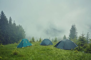 Tatilde kamp yapmak. Çimlerin üzerinde kamp yapmak. Dağ sisinin üzerinde kamp yapmak. Güzel deniz manzarası. Doğanın güzel harikaları..