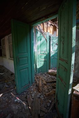 terk edilmiş evde Chernobyl dışlama bölgesi sarı başladı vahşi bitkiler ile büyümüş