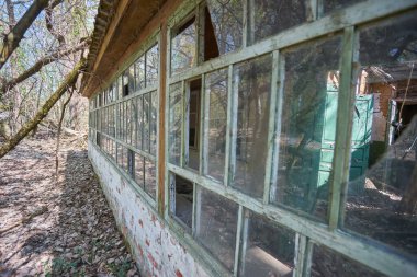 Çernobil Yasaklama Bölgesi 'nde yer alan Zalyssia köyündeki yıkılmış eski evler, popüler karanlık turizm konumu, Ukrayna, Doğu Avrupa