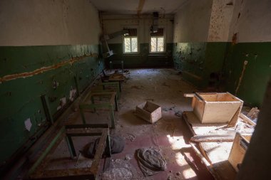 terk edilmiş evde Chernobyl dışlama bölgesi sarı başladı vahşi bitkiler ile büyümüş